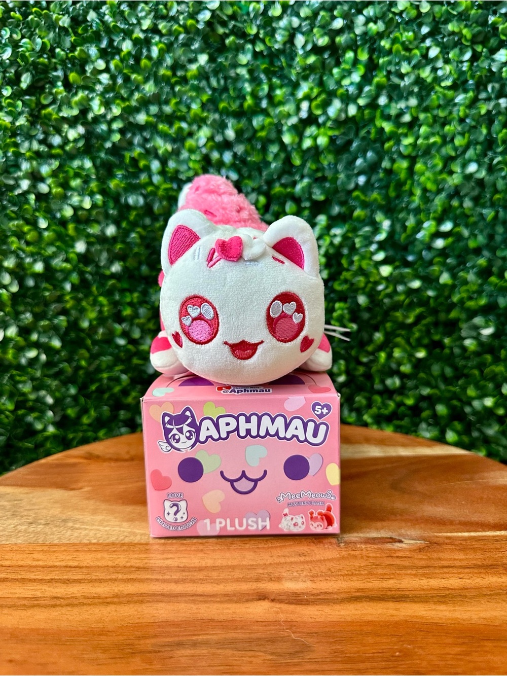 Aphmau MeeMeows 6" Plush Valentines Love Limited Edition Hearts Cupcake Cat